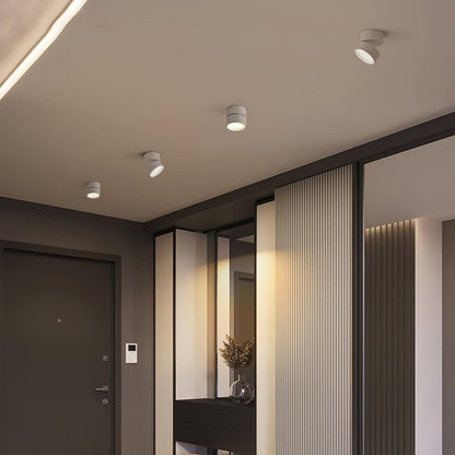 Favilla - Plafoniera LED Soffitto Regolabile, Design Compatto e Luce Calda 3000K
